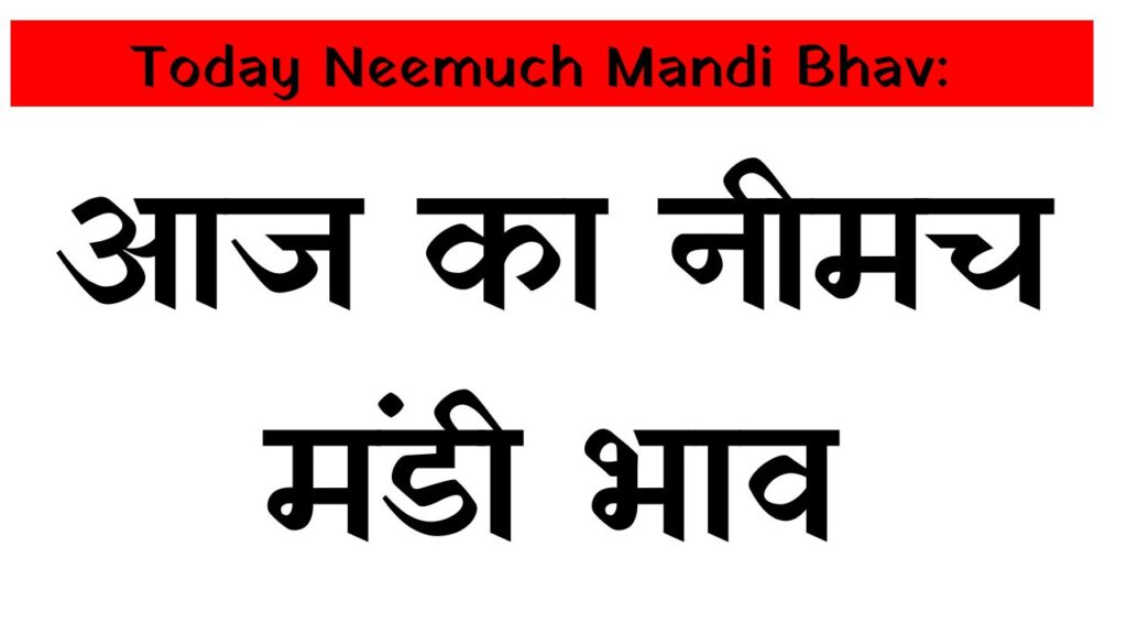 Today Neemuch Mandi Bhav: