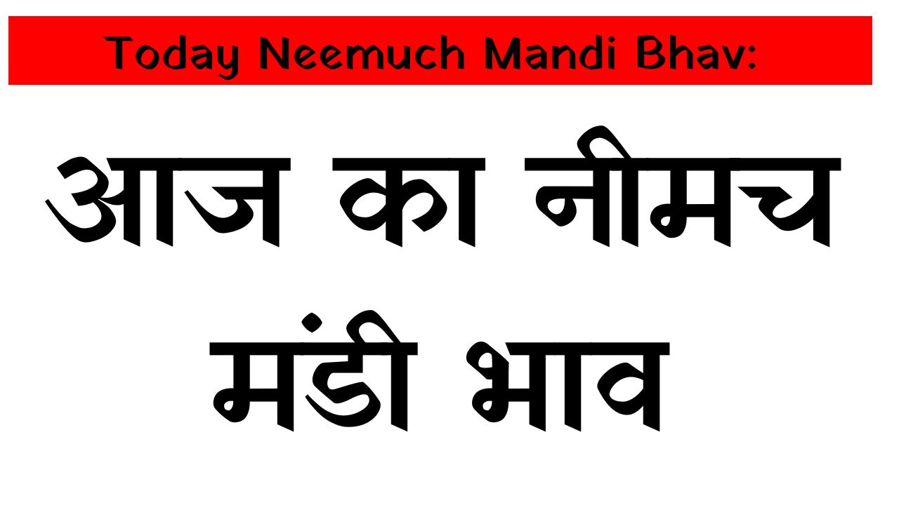 Today Neemuch Mandi Bhav: