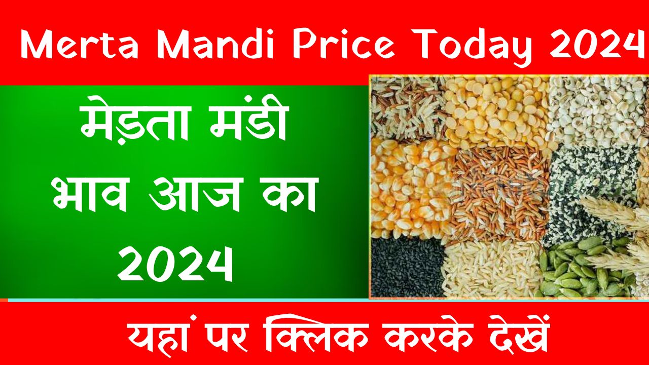 Merta Mandi Price Today 2024