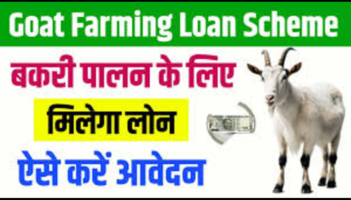 Goat Farming Loan Apply