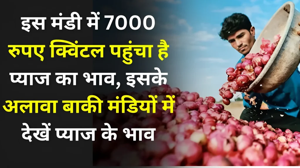 onion prichai is mandee mein 7000 kvintal pahuncha hai