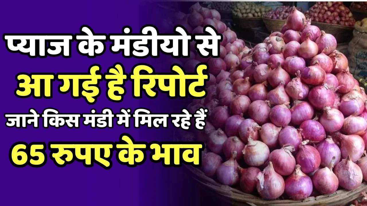 Neemuuch Mandi Pyaj Ka bhav