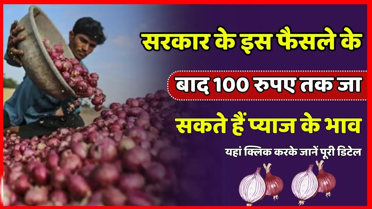Today Mandi Bahv : भारत सरकार के इस फैसले के बाद अब 100 रुपये तक जा सकते हैं प्याज़ के भाव | जाने पूरी डिटेल्स