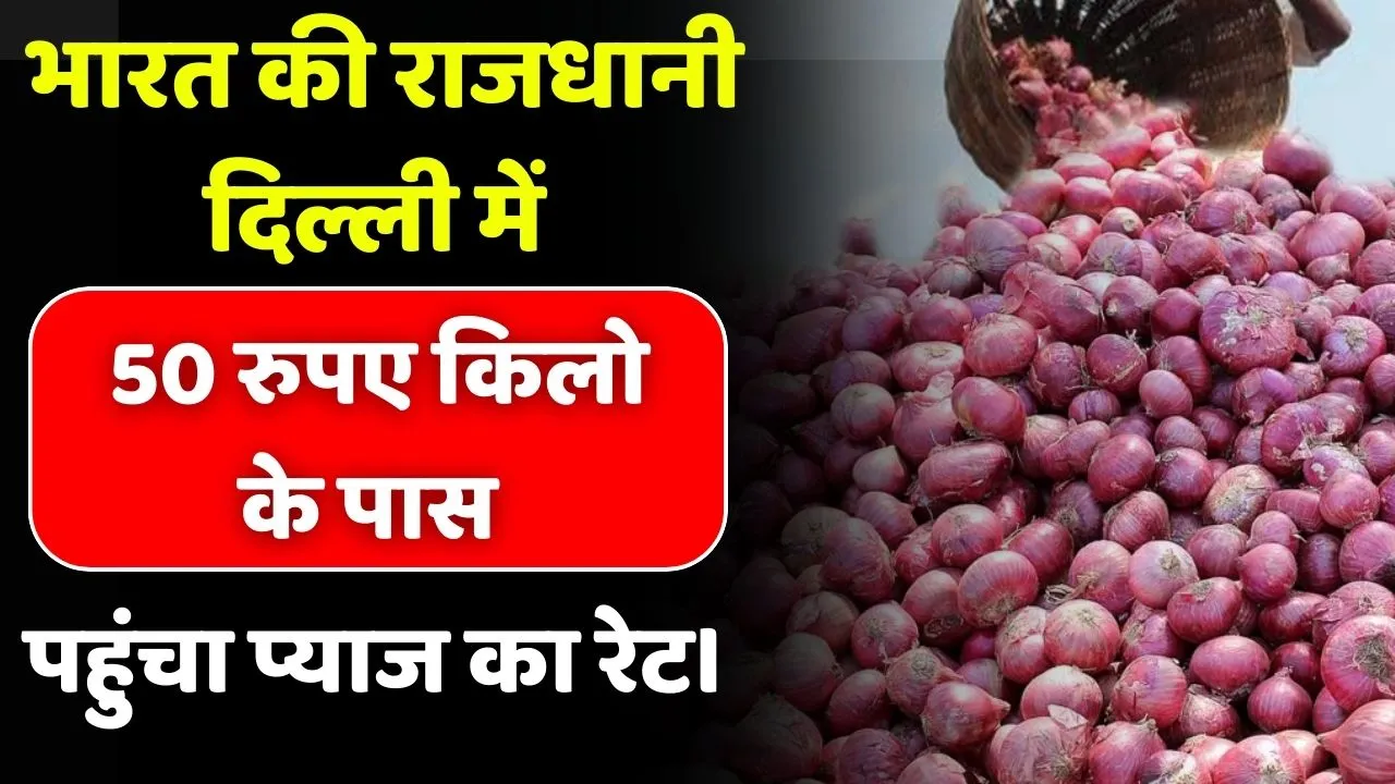भारत की राजधानी दिल्ली में प्याज पहुंच 50 किलो के पास पहुंचा प्याज का रेट। जाने मंडियो से क्या मिल रही है रिपोर्ट