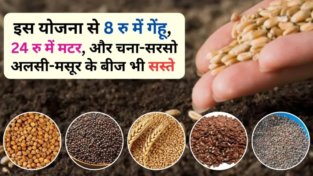 Farmers are having a great time, with this scheme they can buy wheat for Rs 8