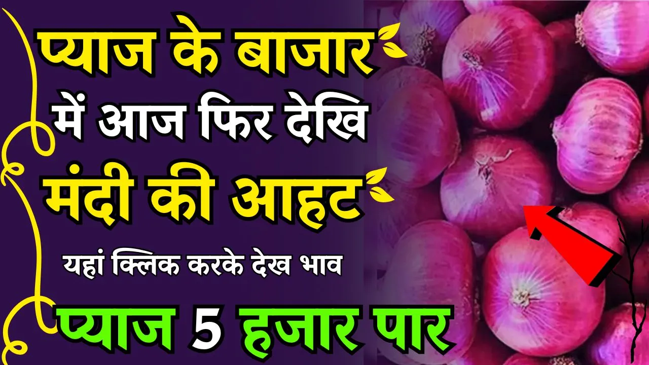 प्याज के बाजार में आज दिखी मंदी की आहट | जानिए प्याज के बाजार से क्या मिल रही है रिपोर्ट