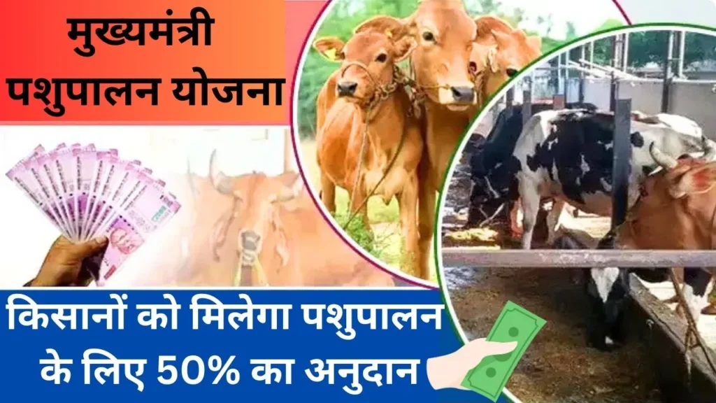 किसानों को दिया जा रहा पशुपालन के लिए 50% का अनुदान