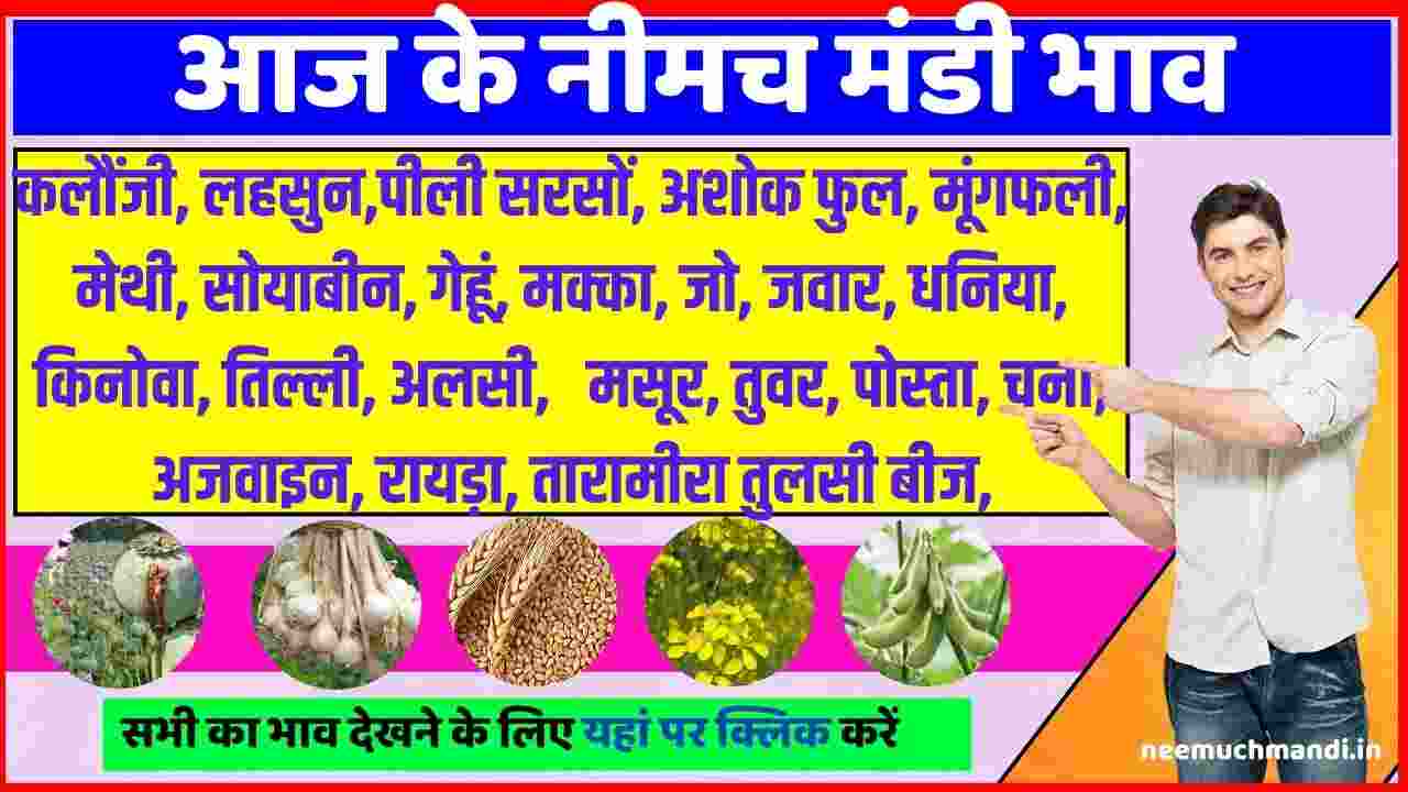 Neemuch Mandi Bhav 