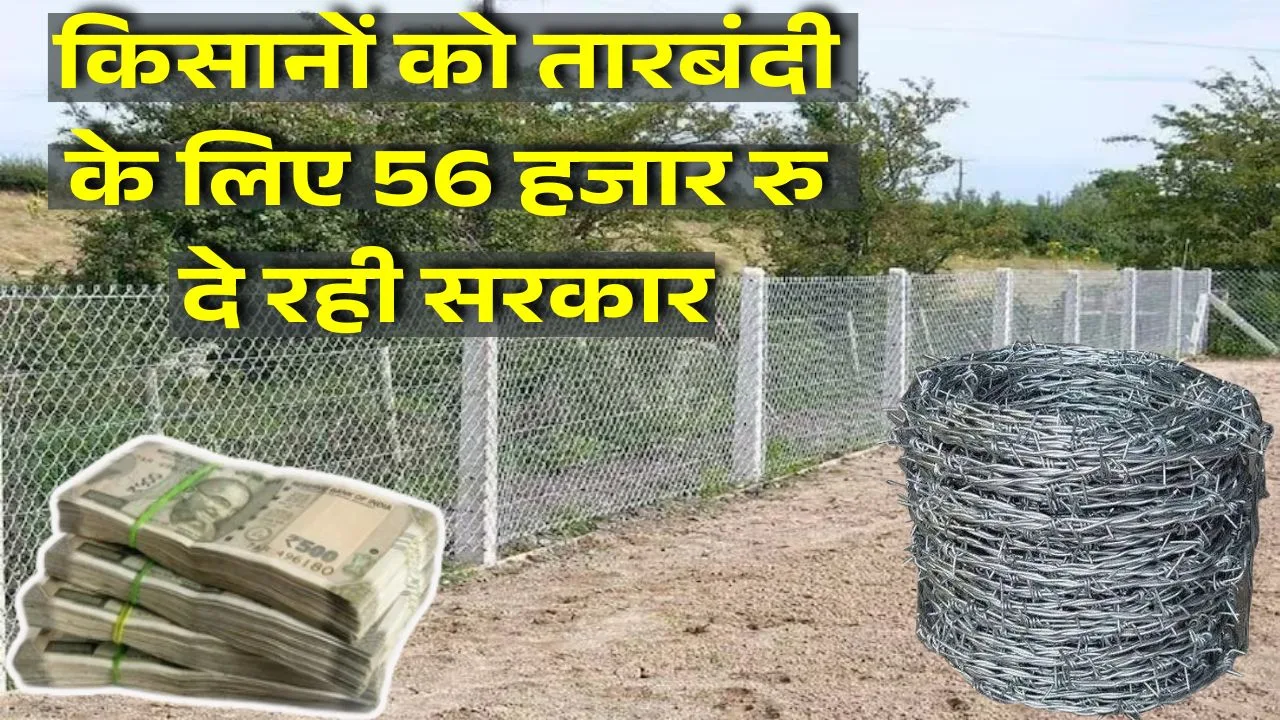 किसानों को तारबंदी के लिए 56 हजार रु दे रही सरकार